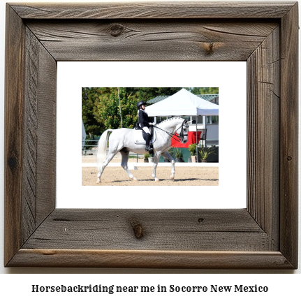 horseback riding near me in Socorro, New Mexico